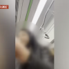 “너 조현병” “약 처먹어”…‘만원’ 지하철서 부딪혔다고 폭언한 女