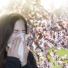 “에취~!” 겨울 지나 봄이 더 두려운 알레르기 비염·천식… 과민반응 물질 콕 집어 피하세요