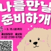 “유명해질 준비하‘개’”…용산구, ‘댕플루언서’ 모집