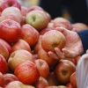 사과값 71% 폭등… 10kg에 ‘9만원’ 사상 최고가