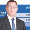 역대급 실적에… 정의선 작년 122억 받았다