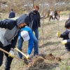 전남도, 430만 그루 나무심기로 탄소흡수원 확충