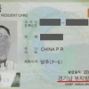 위조 신분증으로 제주 무단 이탈하려던 중국인 6명 덜미