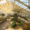 경기 물향기수목원, ‘난대식물원’·‘물향기식물책방’ 4월 개방