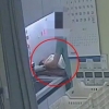 “생후 8일된 아기, 혼자 떨어졌다고요?”…CCTV 보니