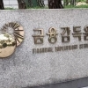 금감원, 홍콩 ELS 분조위 개최… 오늘 조정안 공개