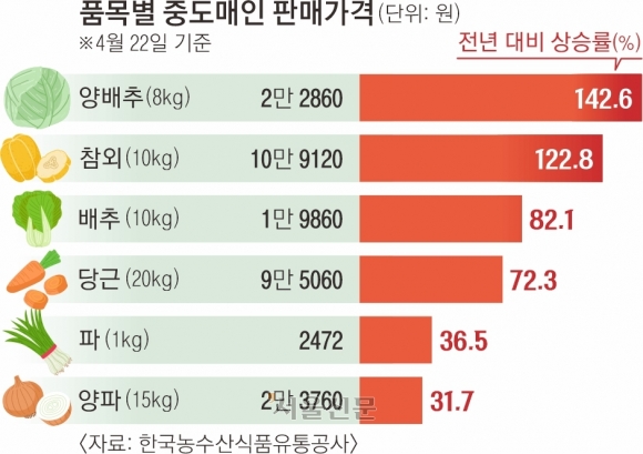 양배추 한 통에 9000원… 기상이변, 밥상물가 덮쳤다