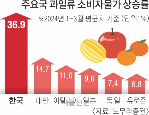 G7과 비교해도… 한국 과일·채소값 가장 많이 올랐다