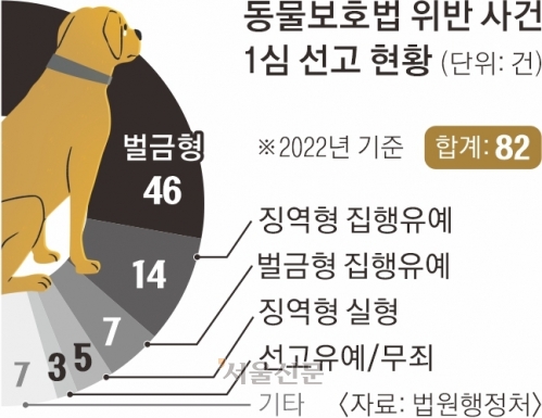 동물학대 들쭉날쭉 솜방망이 처벌… 생매장은 벌금형, 차에 매달면 집유