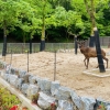광주 우치동물원, 철조망 없앤 ‘사슴사’ 재개장