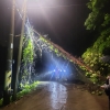 어린이날 100㎜ 넘는 폭우…경남·부산 주민 실종, 마을 침수 피해