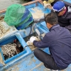 어업인 사고 예방 위한 선박 무상 이동수리소 호응