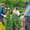 이은림 서울시의회 운영위원장 “창포원 정비를 위한 꾸준한 노력, 아름다운 꽃 정원으로 탄생”
