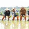 김동연, 여주 모내기 현장 찾아 농업인 격려···“올해 ‘농어민 기회소득’ 지급하겠다”