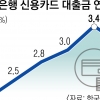 급전도 못 갚았다… 카드대출 연체율 10년 만에 최대