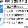 서울 54개 대학 6500억 투입… ‘글로벌 톱5 도시’ 앞당긴다