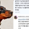 대형개 입마개 요구에 “딸 줄에 묶고 다녀라”…12만 유튜버 사과