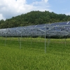 전남 영광에 ‘쌀·전기 동시수확’ 영농형태양광 발전단지 조성