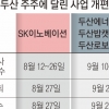 사업 재편 앞둔 SK·두산… ‘주주의 시간’ 열린다