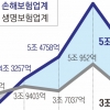 종신보험은 지고 보장성 뜨고… 손보 순익, 4년째 생보 앞질러