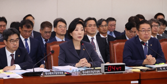 정책자금 ‘브로커’ 온라인서 활개…중기부는 ‘뒷짐’