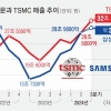 TSMC, AI 붐 타고 ‘어닝 서프라이즈’… 반도체 겨울론 잠재우기