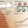 노동생산성 OECD 최하위… 저출생에 일할 사람도 없다 [정년 연장, 공존의 조건을 묻다]