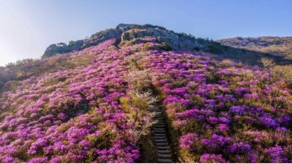 여수 영취산 흥국사 일원, 국가지정자연유산 명승 지정