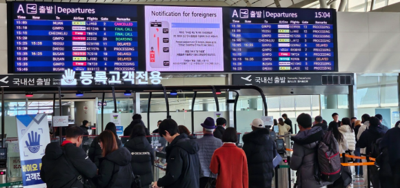 [무안공항 참사] 제주공항 활주로에 조류퇴치 인원 4명→ 6명 확대