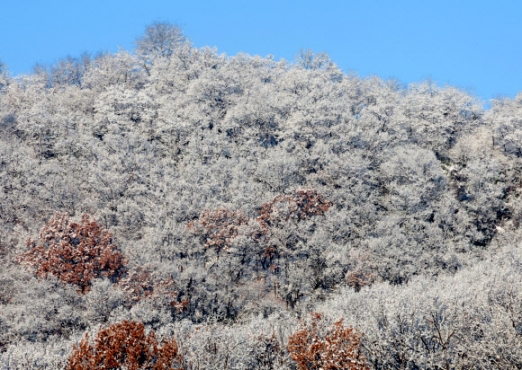 [포토] 눈 쌓인 산