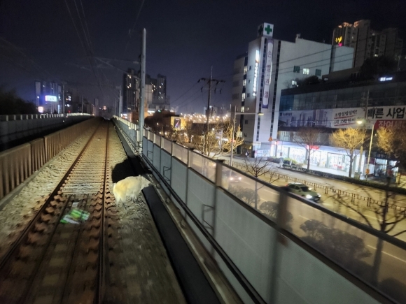 부산 도시철도 선로에 난입한 멧돼지 3시간 마에 사라져