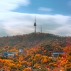 남산타워가 6위인데…서울 ‘대표 가을명소’ 타이틀 거머쥔 이곳