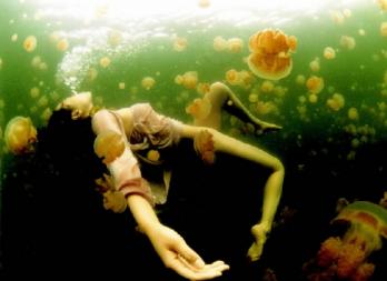 정유진의 아쿠아누드