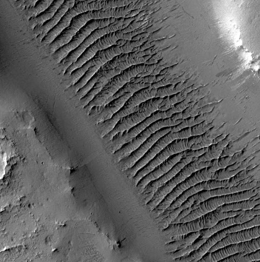 37억년 전 물이 흘렀던 곳으로 추정되는 화성 북위 5도, 동경 33도 지점에 있는 리플(잔물결) 구조의 낙동계곡. 지류의 총 길이는 1200㎞, 둑처럼 생긴 리플의 길이는 10여m, 폭은 3~4m에 이른다.  연합뉴스