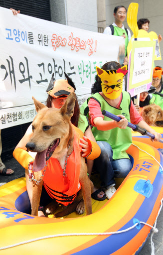 동물 보호단체 회원들이 중복을 맞아 24일 오후 서울 중구 명동 예술극장 앞에서 퍼포먼스를 하며 개식용 금지를 주장하고 있다. 연합뉴스