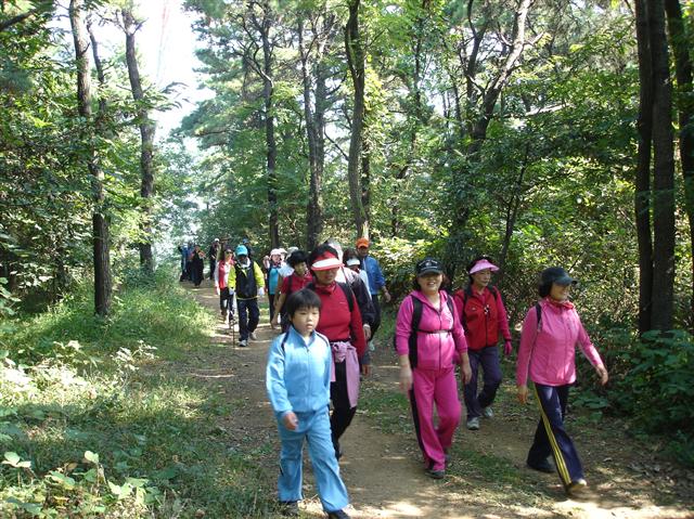 지난 10월10일 첫선을 보인 경기도 시흥 ‘늠내 숲길’을 걷는 시민들.  시흥시 제공