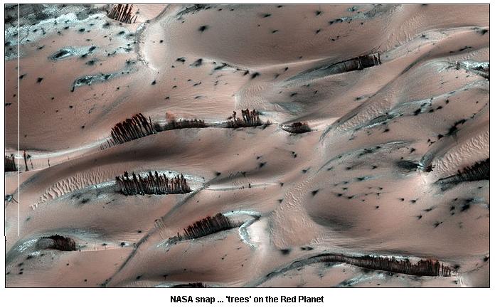 화성 탐사선이 최근 보내온 검은 침엽수가 자라는 것 같은 화성사진. NASA는 봄철에 얼음이 녹아 산사태가 나면서 만들어 낸  착시현상이라고 밝혔다.한폭의 유화같은  화성의 자태가 신비롭다.