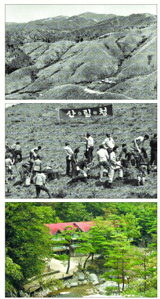 1970년대 강원 춘천의 민둥산(맨위). 1977년 제32회 국민식수 행사 장면(산림청 플래카드·가운데). 푸른숲 속에 자리잡은 대관령 휴양림 전경(아래).