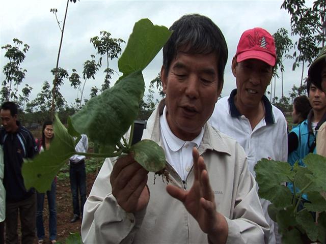 조원대 한국농업기술개발센터(KOPIA) 소장이 베트남 현지에서 작물들을 살펴보고 있다. 아리랑TV 제공