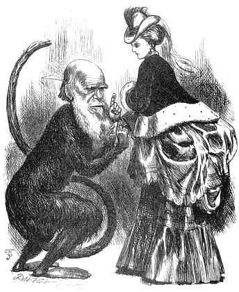 다윈의 진화론을 조롱하기 위해 그린 풍자화. 원숭이의 몸에 다윈의 얼굴을 그려놓고 여성의 맥을 짚고 있는 모습이다.