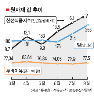 물가 최대 복병은 러시아발 곡물가 | 서울신문