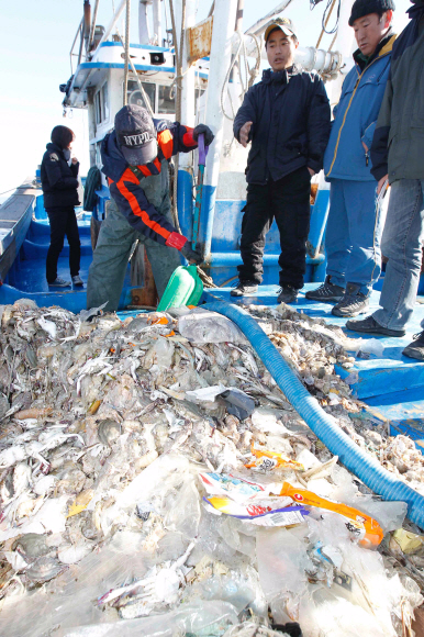 일터로  7일 인천 연평도 포격 이후 보름 만에 그물을 점검하러 나갔던 어민들이 상해버린 생선과 꽃게들을 보고 있다. 연평도 이언탁기자 utl@seoul.co.kr