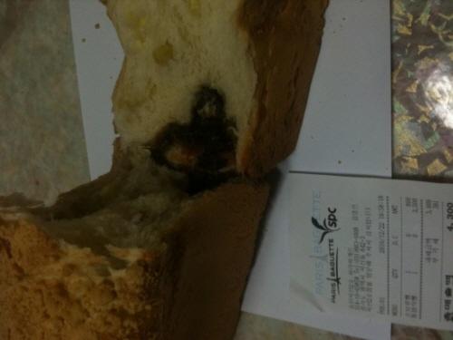 한 누리꾼이 23일 “파리바게뜨에서 구입한 밤식빵에서 쥐가 나왔다.”며 영수증과 함께 공개한 사진.
