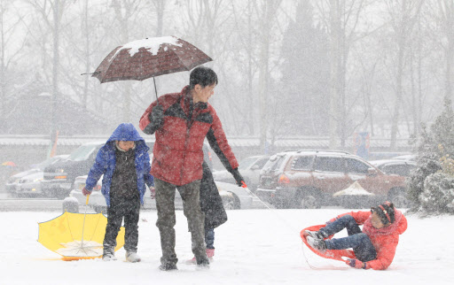 중부 지방을 중심으로 많은 눈이 내린 23일 오후 서울광장에서 한 가족이 눈썰매를 타며 즐거운 시간을 보내고 있다.  연합뉴스
