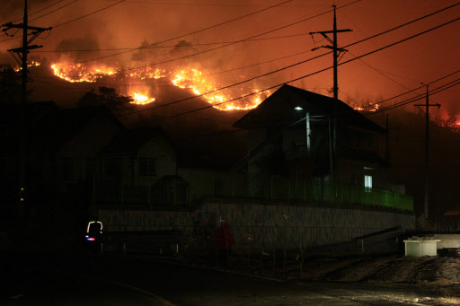 31일 밤 강원 양양군 현남면 상월천리에서 발생한 산불이 강한 바람을 타고 마을 쪽으로 번지고 있다.  양양 연합뉴스