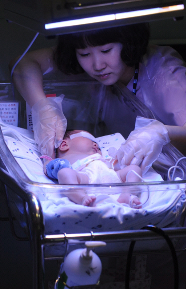 건강에 이상이 있는 아기들은 태어난 직후 치료를 받는다. 황달에 걸린 아기를 치료기에 &#45598;히는 장면. 이종원 선임기자 jongwon@seoul.co.kr