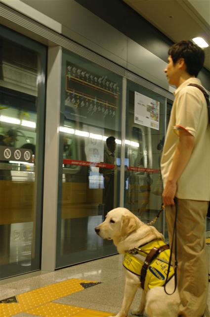 1급 시각장애인 유석종씨가 19일 오후 지하철 9호선 샛강역 승강장에서 안내견 채송이와 함께 집에 가기 위해 지하철을 기다리고 있다.
