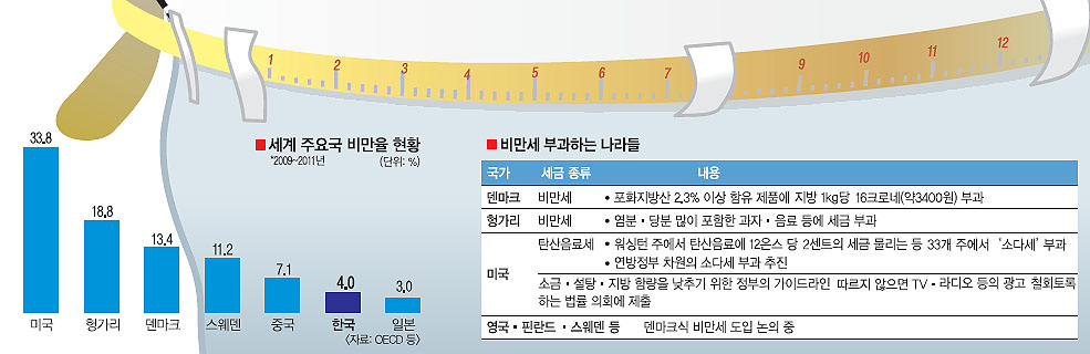 덴마크 지방 ㎏당 3400원 '비만세' 첫 도입…“살 찌려거든 세금 내라” | 서울신문