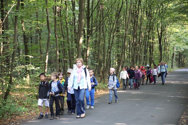 프랑크푸르트 시유림은 어린이들의 숲 체험 공간이다. 아이들이 선생님과 숲 곳곳을 걸으며 즐기고 있다.