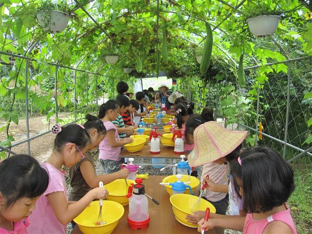 지난 여름방학 기간에 구에서 주관한 친환경농업체험교실에 참가한 초등학생들이 친환경 식재료로 요리하고 있는 모습.  강동구 제공 